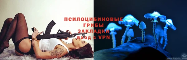 гидра Абаза