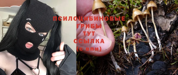гидра Абаза