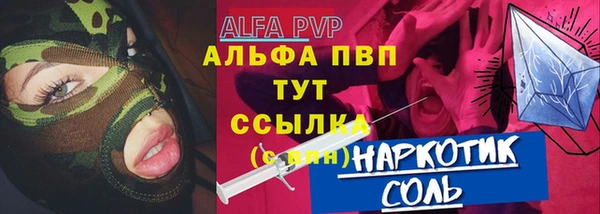 гидра Абаза
