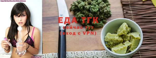 гидра Абаза